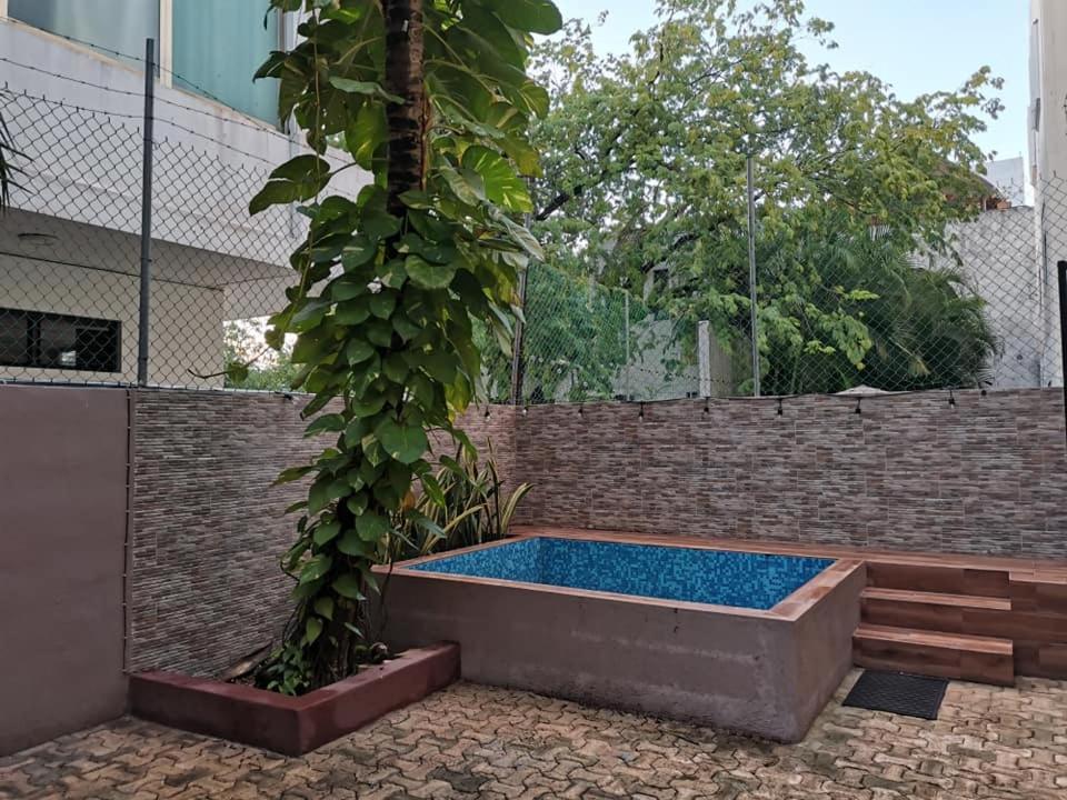 Mandarinas Lägenhet Playa del Carmen Exteriör bild